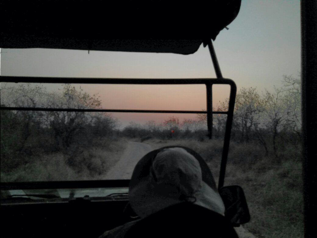 A dirt track running ahead into grey pre-dawn bush, seen over the bonnet of a safari vehicle