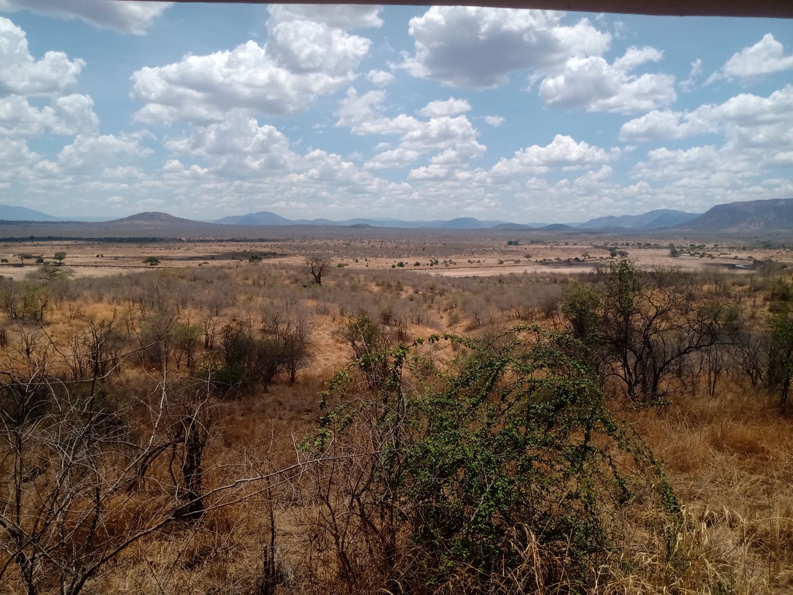 Dry season bush stretching away to distant hills in Ruaha National Park