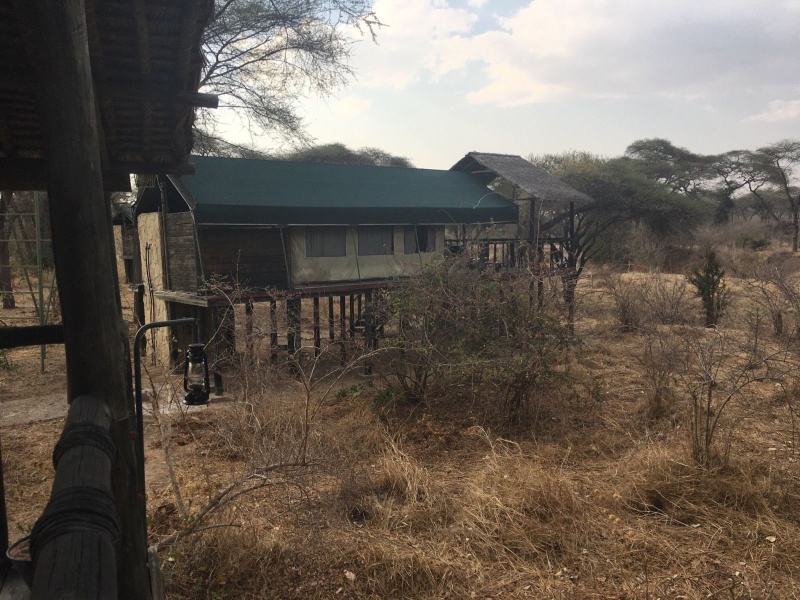 A green-roofed safari tent raised on stilts with a paraffin lantern outside, Ruaha National Park