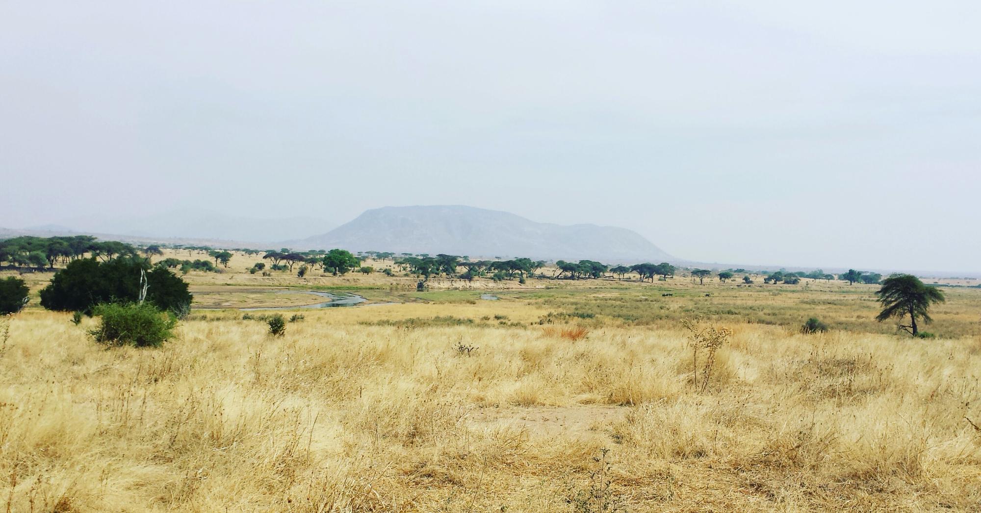 River channel winding across a golden grass plain