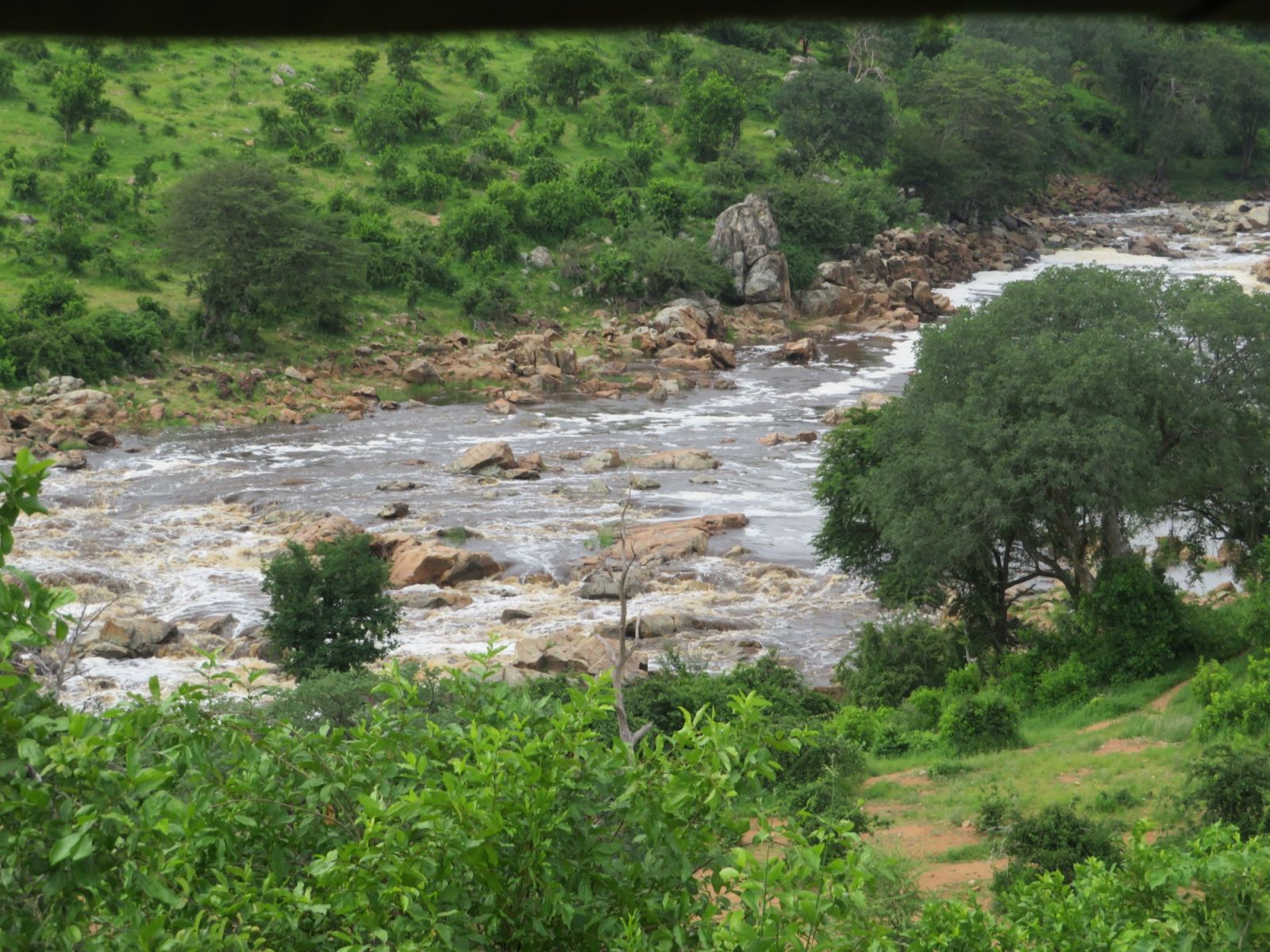 Brown floodwater pouring white over a shelf of rock in the Great Ruaha River