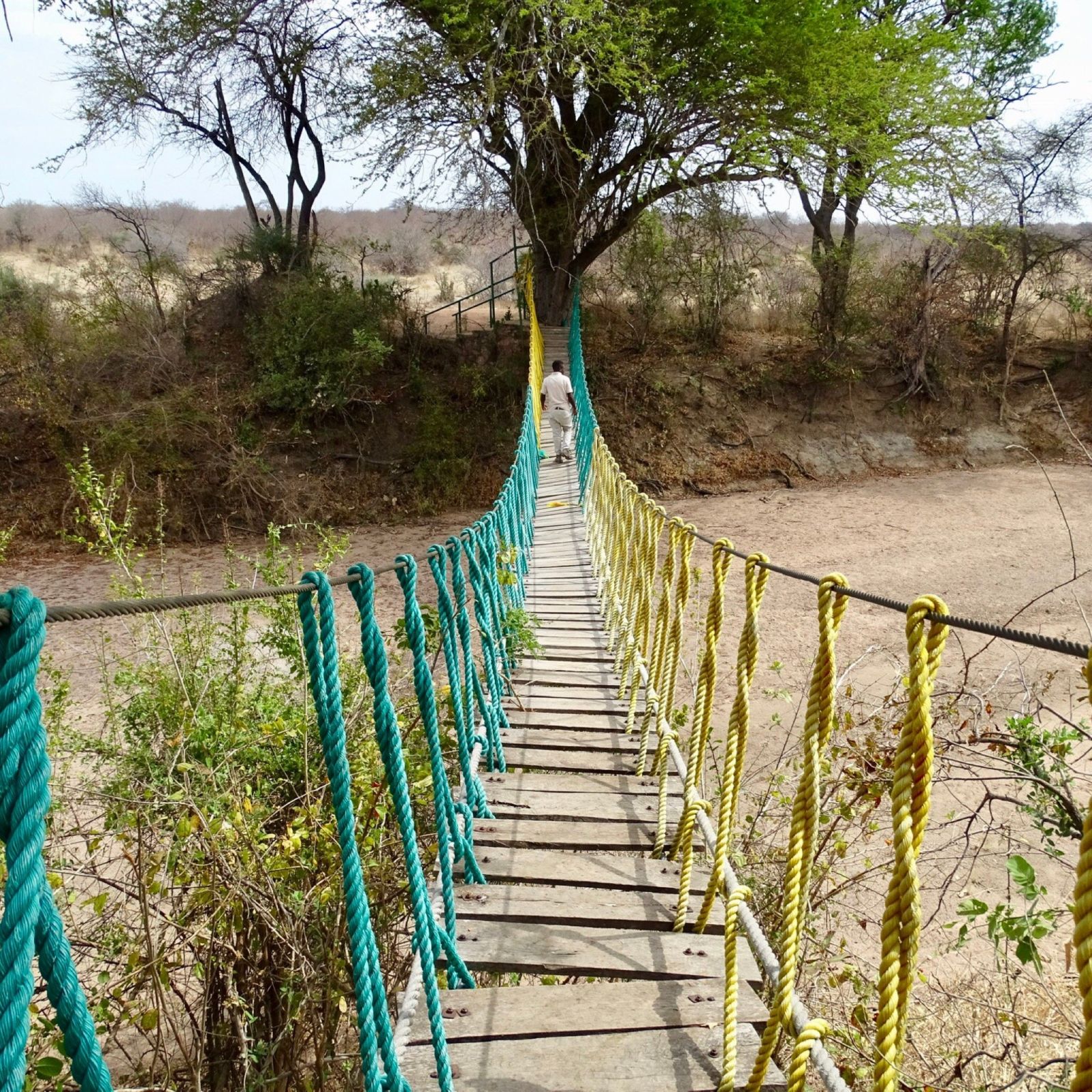 A rope suspension footbridge crossing a dry sand river in Ruaha National Park