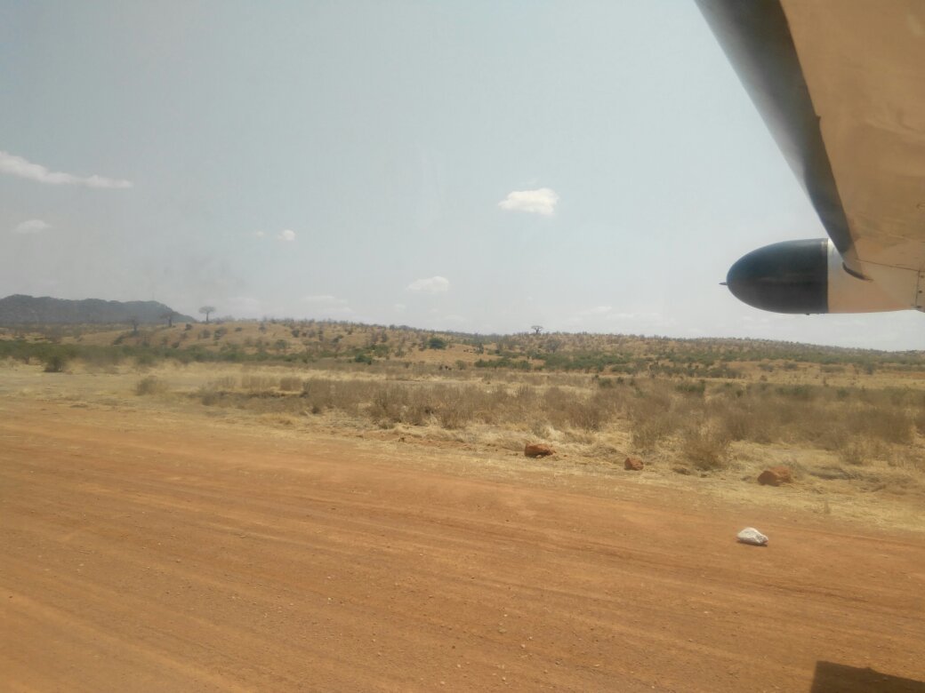Light aircraft wing at the bush airstrip in Ruaha National Park