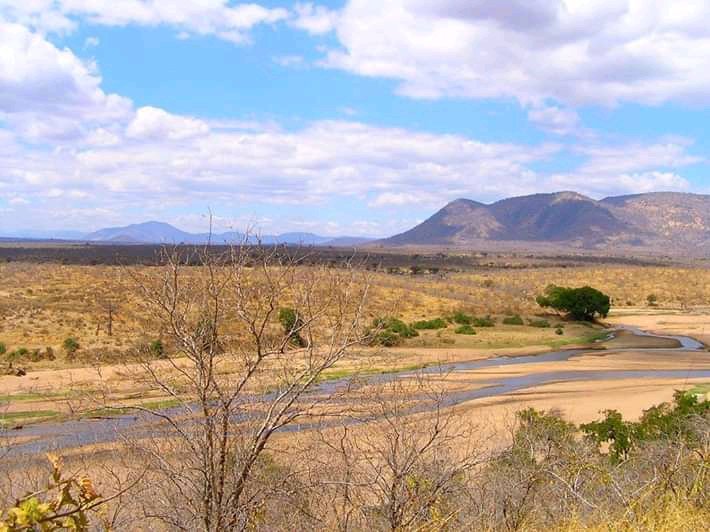 Wide sandy riverbed running below distant blue hills in Ruaha National Park